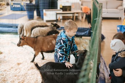 Rannarootsi_jõul_2022_-_011_Silver_Raidla
