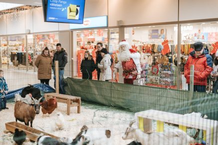 Rannarootsi_jõul_2022_-_012_Silver_Raidla