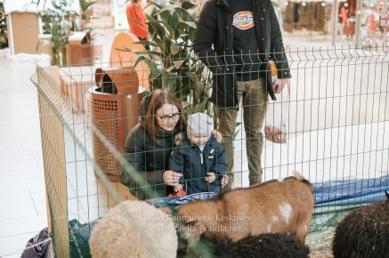 Rannarootsi_jõul_2022_-_015_Silver_Raidla