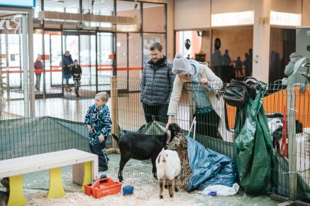 Rannarootsi_jõul_2022_-_016_Silver_Raidla