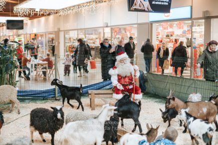 Rannarootsi_jõul_2022_-_027_Silver_Raidla