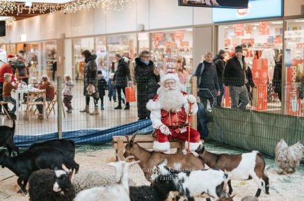 Rannarootsi_jõul_2022_-_028_Silver_Raidla