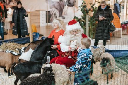Rannarootsi_jõul_2022_-_032_Silver_Raidla