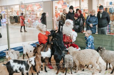 Rannarootsi_jõul_2022_-_034_Silver_Raidla