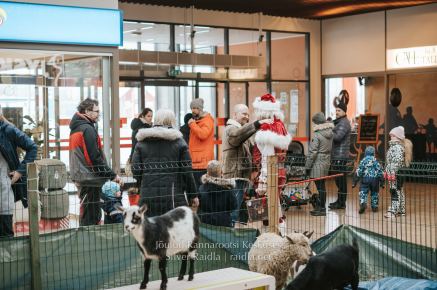 Rannarootsi_jõul_2022_-_047_Silver_Raidla