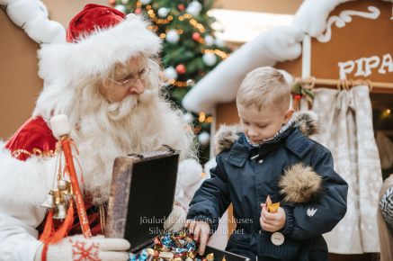 Rannarootsi_jõul_2022_-_053_Silver_Raidla