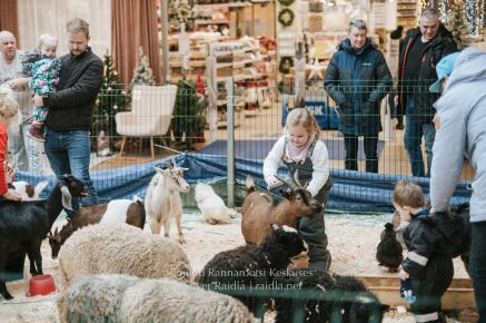 Rannarootsi_jõul_2022_-_074_Silver_Raidla