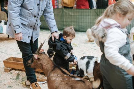 Rannarootsi_jõul_2022_-_080_Silver_Raidla