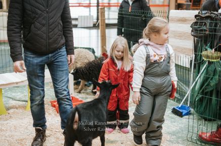Rannarootsi_jõul_2022_-_085_Silver_Raidla