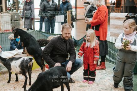 Rannarootsi_jõul_2022_-_086_Silver_Raidla