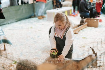 Rannarootsi_jõul_2022_-_088_Silver_Raidla