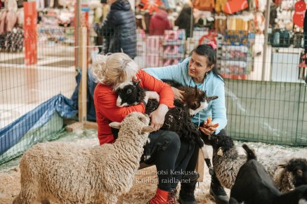 Rannarootsi_jõul_2022_-_203_Silver_Raidla