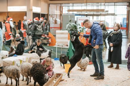 Rannarootsi_jõul_2022_-_237_Silver_Raidla