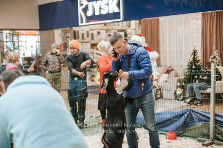 Rannarootsi_jõul_2022_-_238_Silver_Raidla