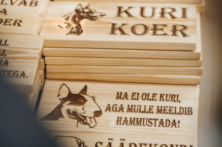 Jõulumaagia_Rannarootsi_Keskuses_2023_-_036_Silver_Raidla