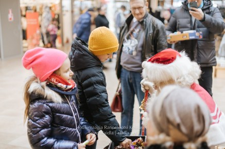 Jõulumaagia_Rannarootsi_Keskuses_2023_-_154_Silver_Raidla